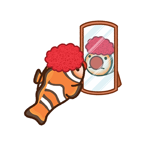 Clownfish