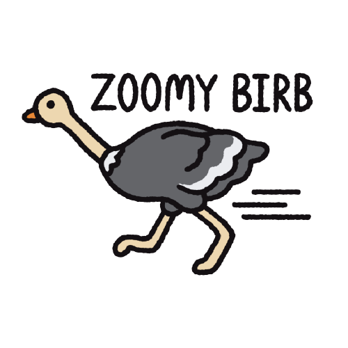 Zoomy Birb