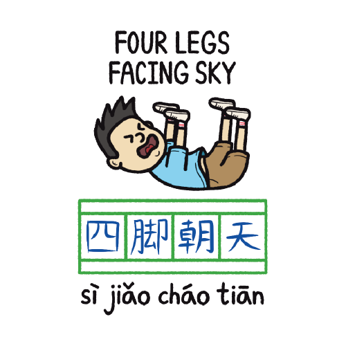 Four legs facing sky