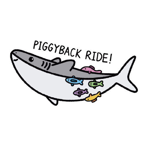 Piggyback Ride Shark