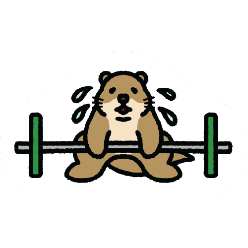 Gym Otter