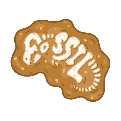 Dino Fossil