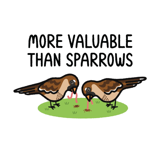 More Valuable Than Sparrows