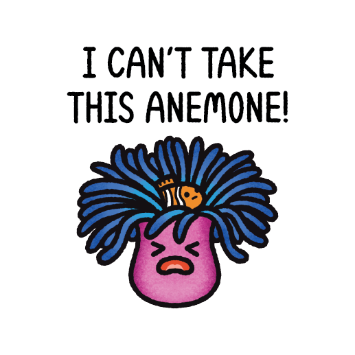 I Can't Take This Anemone!